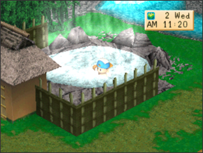 Secrets & Cheats | Harvest Moon: to Nature Guide