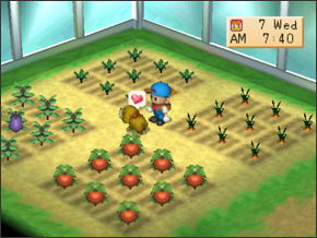 Secrets & Cheats | Harvest Moon: to Nature Guide