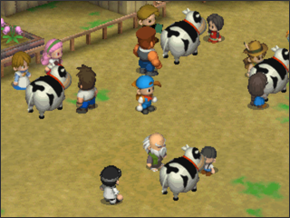 Cow Festival